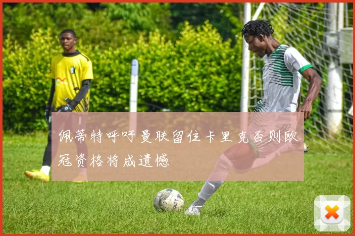 佩蒂特呼吁曼联留住卡里克否则欧冠资格将成遗憾